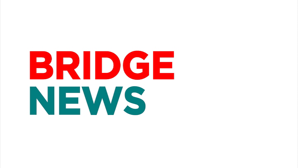 BRIDGE NEWS